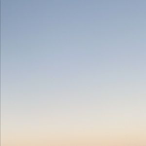 Meet your Posher, Phoebe